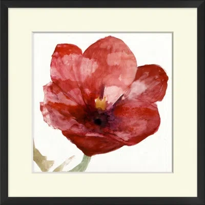Wendover Art Group Tulip Study 1 - Picture Frame Painting On Paper In White;red;cream