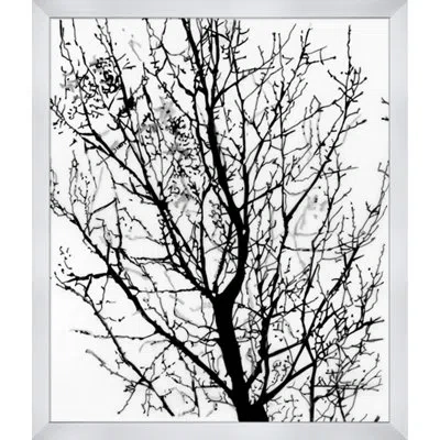 Wendover Art Group U Tree - Picture Frame Painting On Paper In Black;white