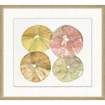 Wendover Art Group Urchin Quad 2 - Picture Frame Painting On Paper In White;green;yellow;pink