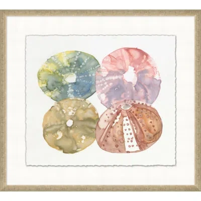 Wendover Art Group Urchin Quad 3 - Picture Frame Painting On Paper In Brown;white;green;pink