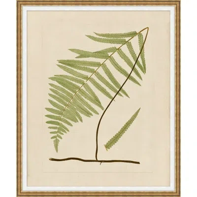 Wendover Art Group Verdant Form I In Multi