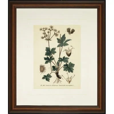 Wendover Art Group Verde Tinted Botanical I - Picture Frame Graphic Art In Green;beige