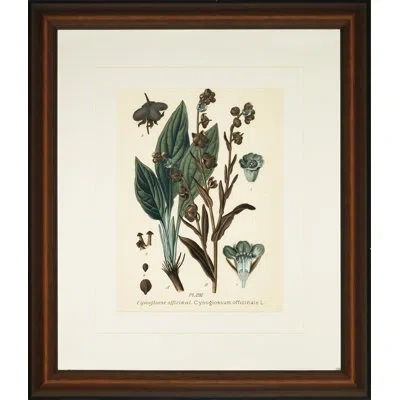 Wendover Art Group Verde Tinted Botanical Ii - Picture Frame Graphic Art In Green;beige