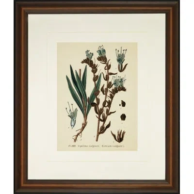 Wendover Art Group Verde Tinted Botanical Iii - Picture Frame Graphic Art In Green;beige