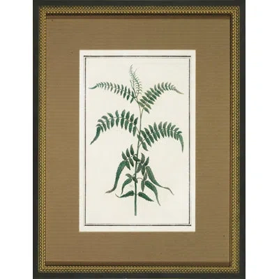 Wendover Art Group Vintage Botanical Sketch I - Picture Frame Graphic Art In White;green
