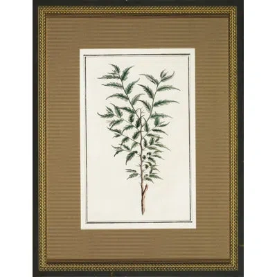 Wendover Art Group Vintage Botanical Sketch Ii - Picture Frame Graphic Art On Glass In White;green