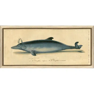 Wendover Art Group Vintage Dolphin I - Picture Frame Painting On Paper In Blue