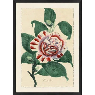 Wendover Art Group Vintage Floral 1 - Picture Frame Painting In Green;red