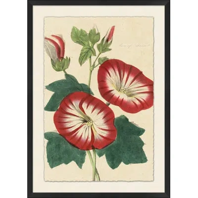 Wendover Art Group Vintage Floral 6 - Picture Frame Painting In Green;red;beige