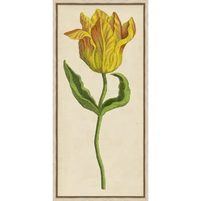 Wendover Art Group Vintage Floral Etching 2 - Picture Frame Painting On Paper In Green;beige;yellow