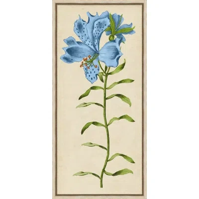 Wendover Art Group Vintage Floral Etching 5 - Picture Frame Painting In Blue;beige