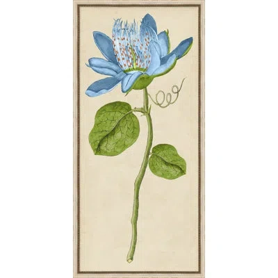 Wendover Art Group Vintage Floral Etching 6 - Picture Frame Painting In Multi