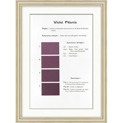 Wendover Art Group " Violet 7 " In Violet,black,white