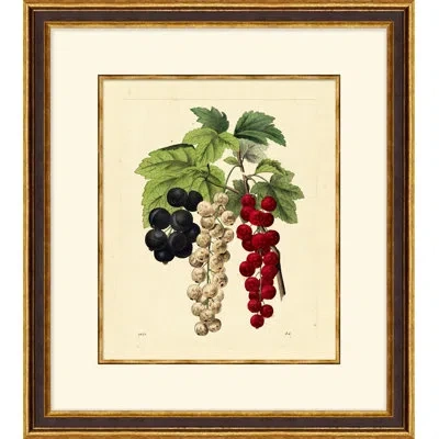 Wendover Art Group Vivid Cherries - Picture Frame Graphic Art On Paper In Green;red;beige