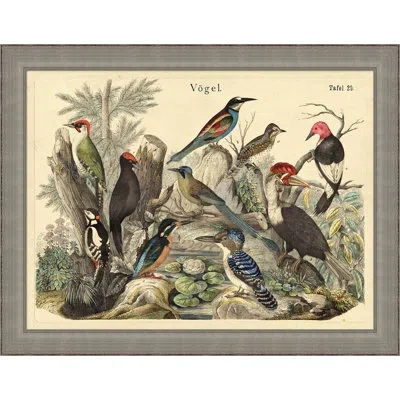 Wendover Art Group Vogels Aviary 1 - Picture Frame Print On Glass In Brown;gray;beige