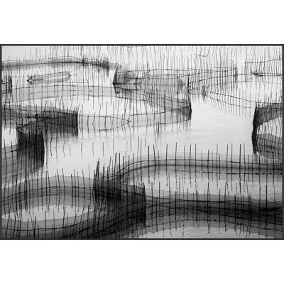 Wendover Art Group Waiting For The Catch White By Thom Filicia - Floater Frame Graphic Art On Canvas In Black;gray