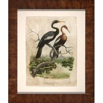 Wendover Art Group Water Turkey - Picture Frame Painting On Paper In Black;beige