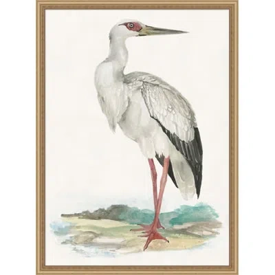 Wendover Art Group Waterbird 1 - Picture Frame Painting On Paper In Multi