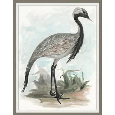 Wendover Art Group Waterbird 3 - Picture Frame Painting On Paper In Gray