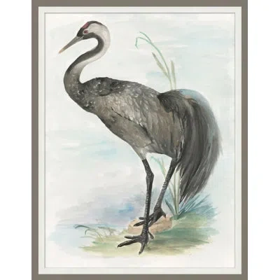 Wendover Art Group Waterbird 4 - Picture Frame Painting On Paper In Blue;white;gray