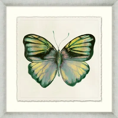 Wendover Art Group Watercolor Butterfly 4 - Picture Frame Painting On Paper In Green;beige