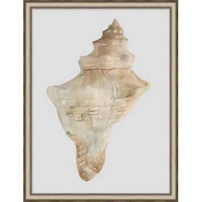 Wendover Art Group Watercolor Sea Shells 4 - Painting On Paper In Brown;beige