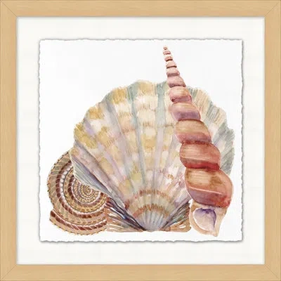 Wendover Art Group Watercolor Sea Shells 5 - Picture Frame Painting On Paper In Blue;beige;yellow