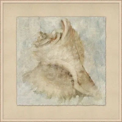 Wendover Art Group Watercolor Shell 3 - Picture Frame Painting In Brown;gray;beige