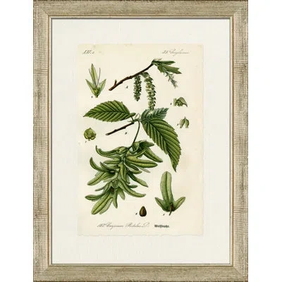 Wendover Art Group Weikbudje - Picture Frame Painting On Paper In Green;cream