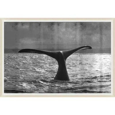 Wendover Art Group Whale Metallic - Picture Frame Photograph On Silver Leaf In Gray