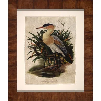 Wendover Art Group Whistling Heron - Picture Frame Painting On Paper In Brown;green;orange