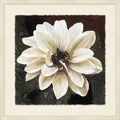 Wendover Art Group White Bloom 1 - Picture Frame Painting On Paper In Black;white;beige