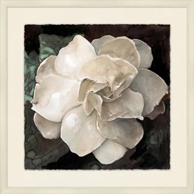 Wendover Art Group White Bloom 3 - Picture Frame Painting On Paper In Ivory;dark Green