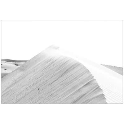 Wendover Art Group White Dunes 2 By Thom Filicia - Floater Frame Photograph On Canvas In White;light Gray