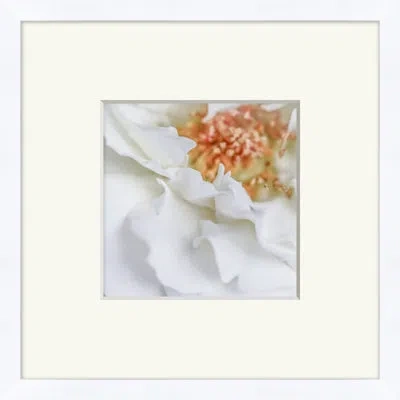Wendover Art Group White Ruffle In White,orange
