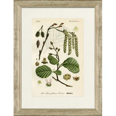 Wendover Art Group Wiefenerle - Picture Frame Graphic Art On Paper In Green;gray