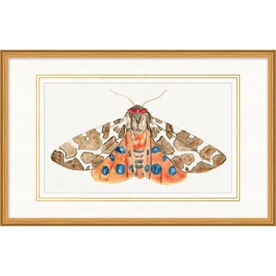 Wendover Art Group Wings Of Color 3 In Multi