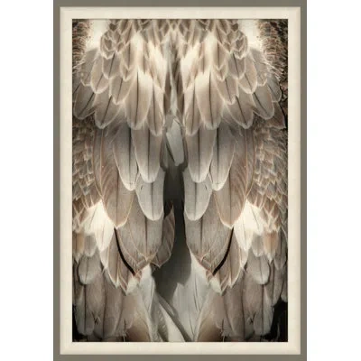 Wendover Art Group Wings - Picture Frame Photograph In White;sepia