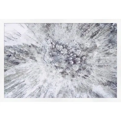 Wendover Art Group Winter From Above 1 By Thom Filicia - Picture Frame Photograph On Paper In White;gray