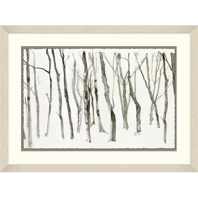 Wendover Art Group Winter Trees 2 - Picture Frame Painting On Paper In White;gray