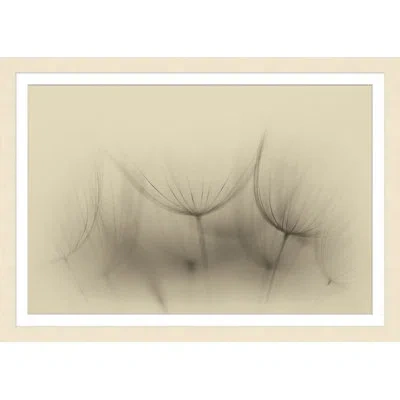 Wendover Art Group Wispy Blooms - Picture Frame Photograph On Paper In Gray;beige