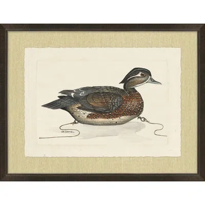 Wendover Art Group Woodland Decoy 1 - Picture Frame Painting On Paper In Brown;white;gray