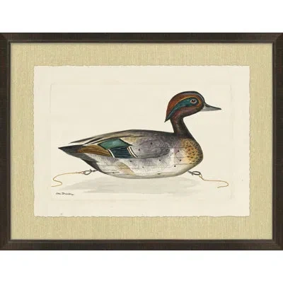 Wendover Art Group Woodland Decoy 4 - Picture Frame Painting On Paper In Multicolor