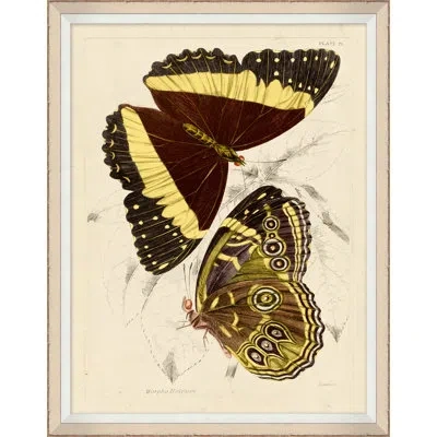 Wendover Art Group Yellow Butterflies 1 - Picture Frame Print On Paper In Brown;beige