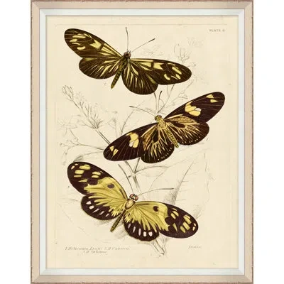 Wendover Art Group Yellow Butterflies 2 - Picture Frame Print On Paper In Brown;beige
