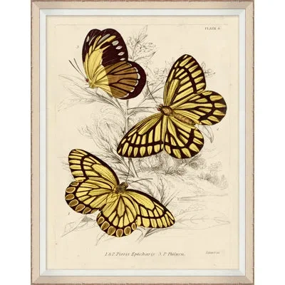 Wendover Art Group Yellow Butterflies 3 - Picture Frame Print On Paper In Brown;beige