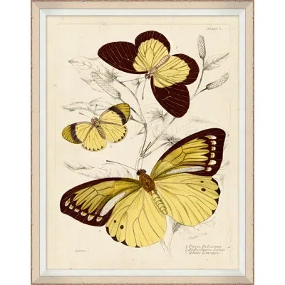 Wendover Art Group Yellow Butterflies 4 - Picture Frame Print On Paper In Brown;beige