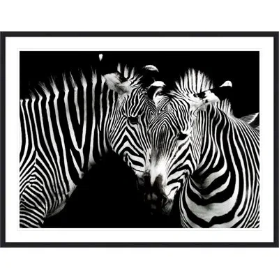 Wendover Art Group Zebra Duo In Black,white