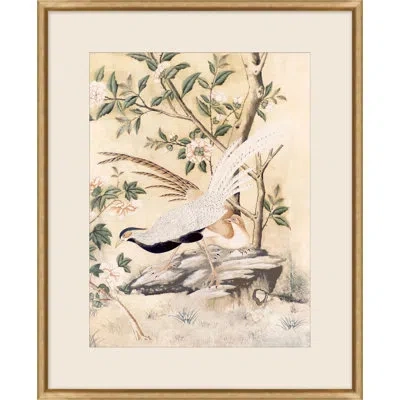 Wendover Art Group Zim Garden 1 By Lillian August - Single Picture Frame Painting In White;green;beige