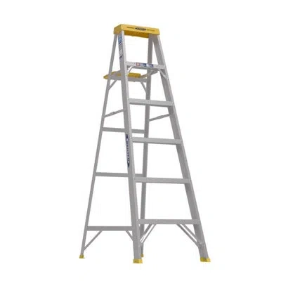 Werner 6 Ft Aluminum Step Ladder With 250 Lb. Load Capacity In Silver
